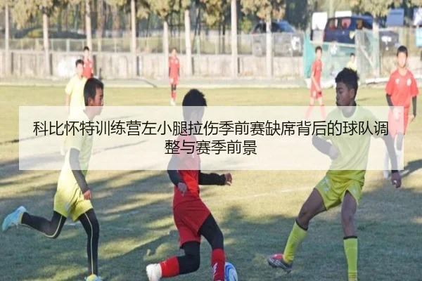 科比怀特训练营左小腿拉伤季前赛缺席背后的球队调整与赛季前景（eonsports）